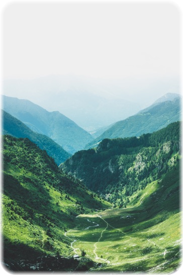 画像の説明 画像の説明