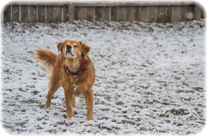 画像の説明 画像の説明