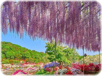 画像の説明
