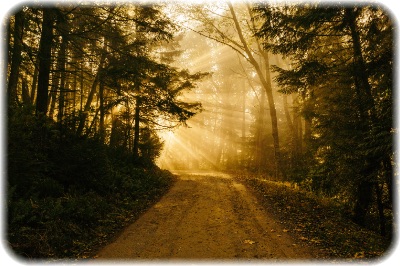 画像の説明 画像の説明