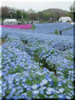 ゴールデンウィーク お出かけ 群馬県 群馬県グルメ おいしいブログ