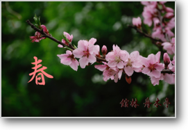画像の説明