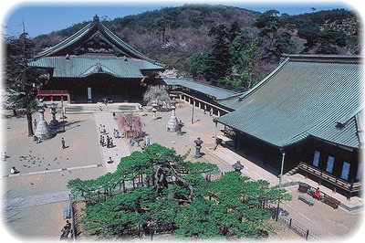画像の説明