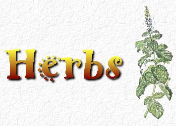 Midi Music Files - Frontier Main Page