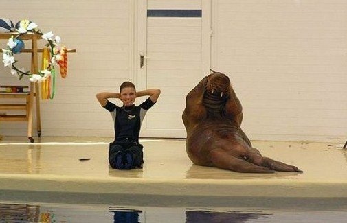 クリックすると新しいウィンドウで開きます