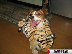 にほんブログ村 為替ブログ 為替日記へ