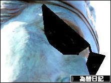 にほんブログ村 為替ブログ 為替日記へ