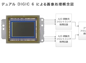 予定画像：7D②