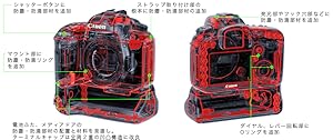 予定画像：7D⑤