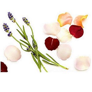 天然オイルがほのかに香る超微香性