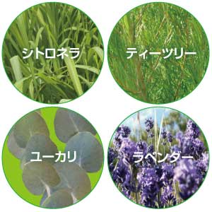 「アウトドアシリーズ」香り・成分について