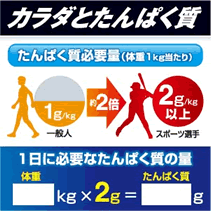スポーツするほどカラダはたんぱく質を求めている。