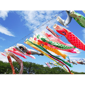 フリー写真, 年中行事, 端午（菖蒲の節句）, こどもの日, 5月, こいのぼり（鯉のぼり）