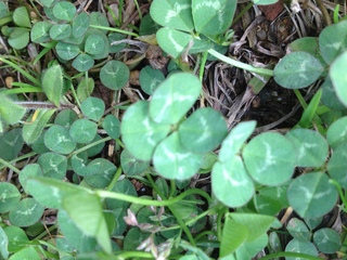 2012-03-11 08.52.15.jpg