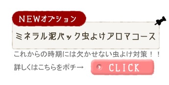 ミネラル泥パック虫よけアロマコース