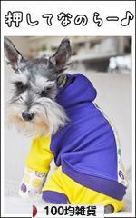 にほんブログ村 雑貨ブログ 100均雑貨へ