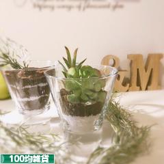 にほんブログ村 雑貨ブログ 100均雑貨へ