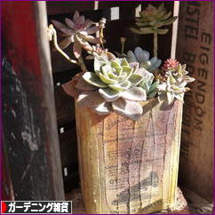 にほんブログ村 雑貨ブログ ガーデニング雑貨へ