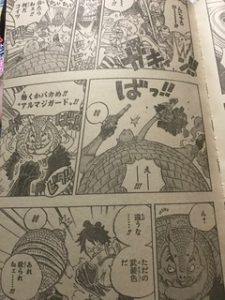 ワンピース考察 ヒョウ五郎とルフィの覇気の違いについて 放射型 漫画one Pieceをスマホで無料立ち読み アプリでダウンロードしよう