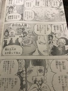 Onepiece939話で赤鞘九人男メンバー確定強さランキング考察 順当な面子 漫画one Pieceをスマホで無料立ち読み アプリでダウンロードしよう