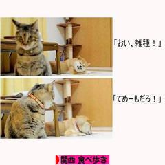 にほんブログ村 グルメブログ 関西食べ歩きへ