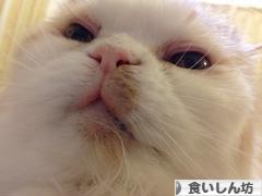 にほんブログ村 グルメブログ 食いしん坊へ