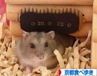 にほんブログ村 グルメブログ 京都食べ歩きへ