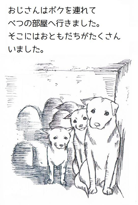12876_20