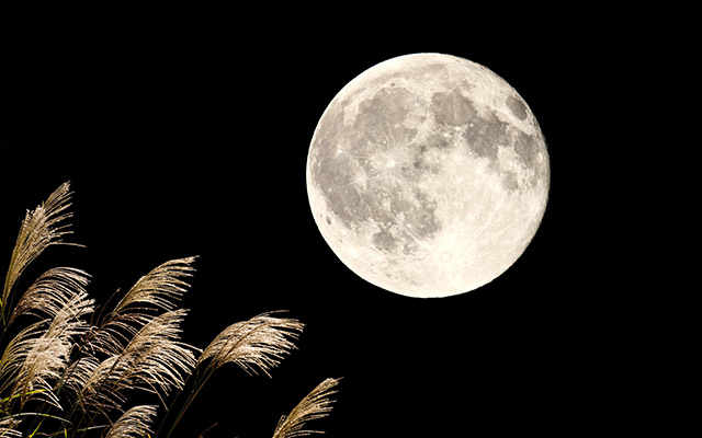 9月15日は 中秋の名月 一年で最も美しい月を見る前に知っておきたいこと 感動最前線ブログ