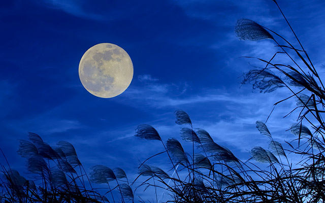 9月15日は 中秋の名月 一年で最も美しい月を見る前に知っておきたいこと 感動最前線ブログ