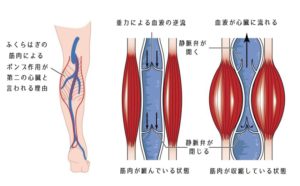世界一受けたい授業 マインドフルネスとは 1日10分の簡単瞑想でうつ病 ストレス改善方法 元極道でアル中の僧侶 玄龍