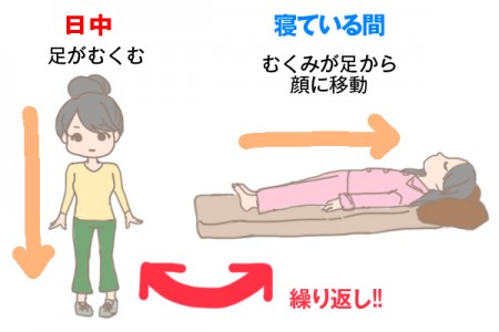 朝から出来る 簡単浮腫みとりでお顔スッキリ 恵比寿 小顔美容矯正専門サロン ルポルテ ブログ 頭蓋骨矯正