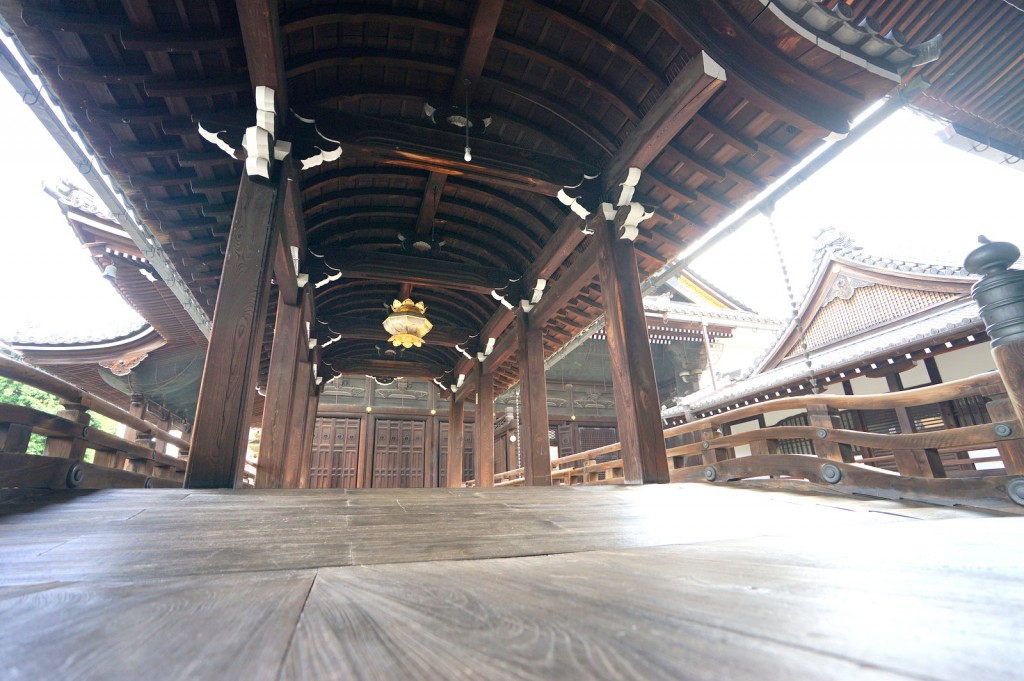 1-DSC08705