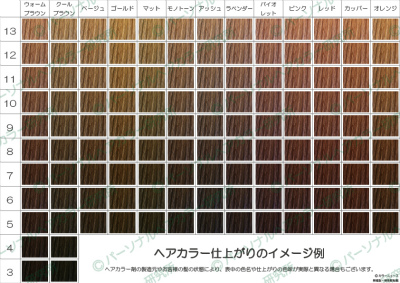 ヘアカラーのイメージが分かるヘアカラーチャート 中川登紀子のアメブロ