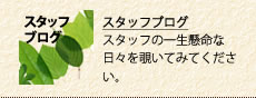 スタッフブログ