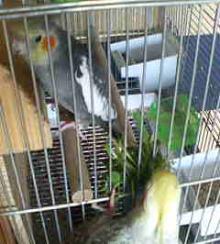200610311216.jpg