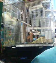 200607031616.jpg