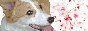 いらっしゃいませ♪