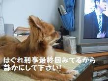 チョッパー