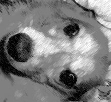 姫歌、モノクロ