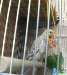 200607221356.jpg