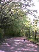 トンネル