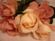 薔薇の花束