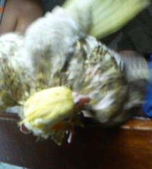 200607261346.jpg