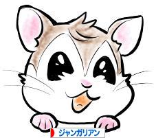にほんブログ村 ハムスターブログ ジャンガリアンハムスターへ