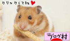 にほんブログ村 ハムスターブログへ