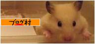にほんブログ村 ハムスターブログ キンクマハムスターへ