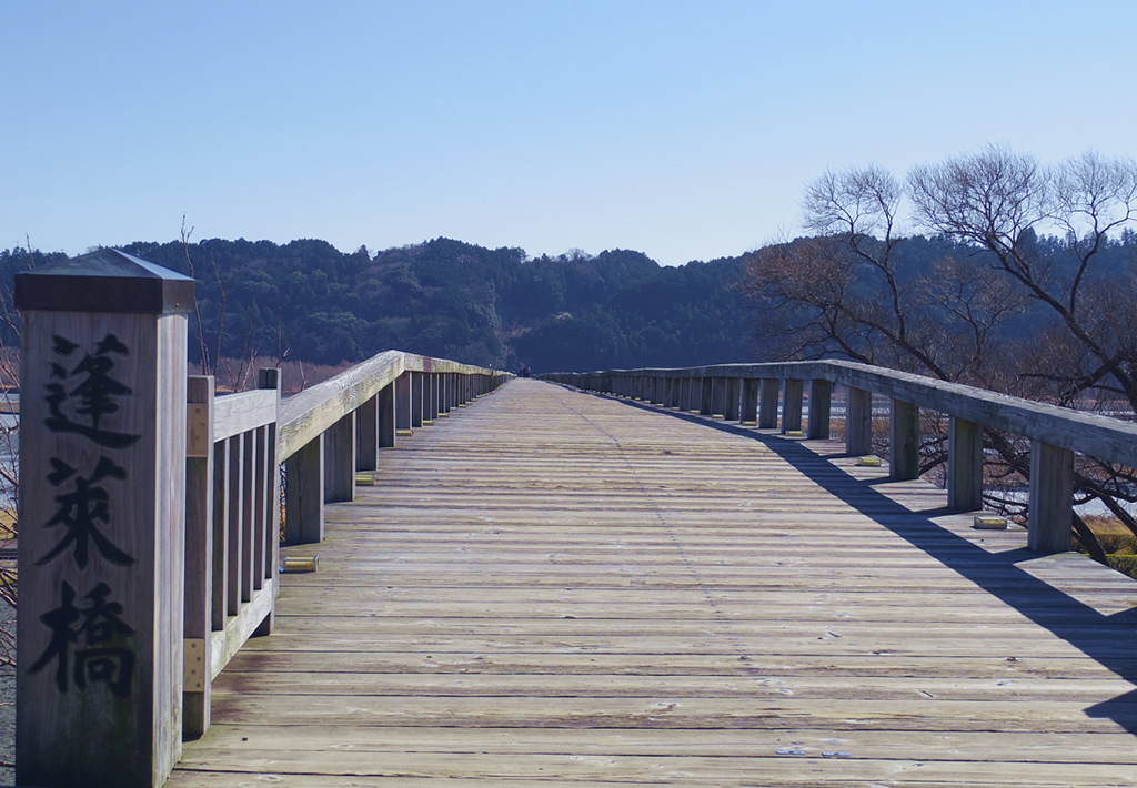 「蓬莱橋」の画像検索結果
