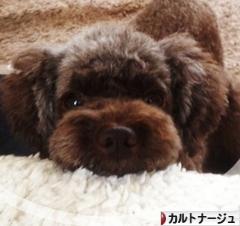 にほんブログ村 ハンドメイドブログ カルトナージュへ