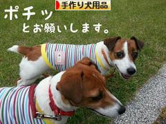 にほんブログ村 ハンドメイドブログ 手作り犬用品・グッズへ